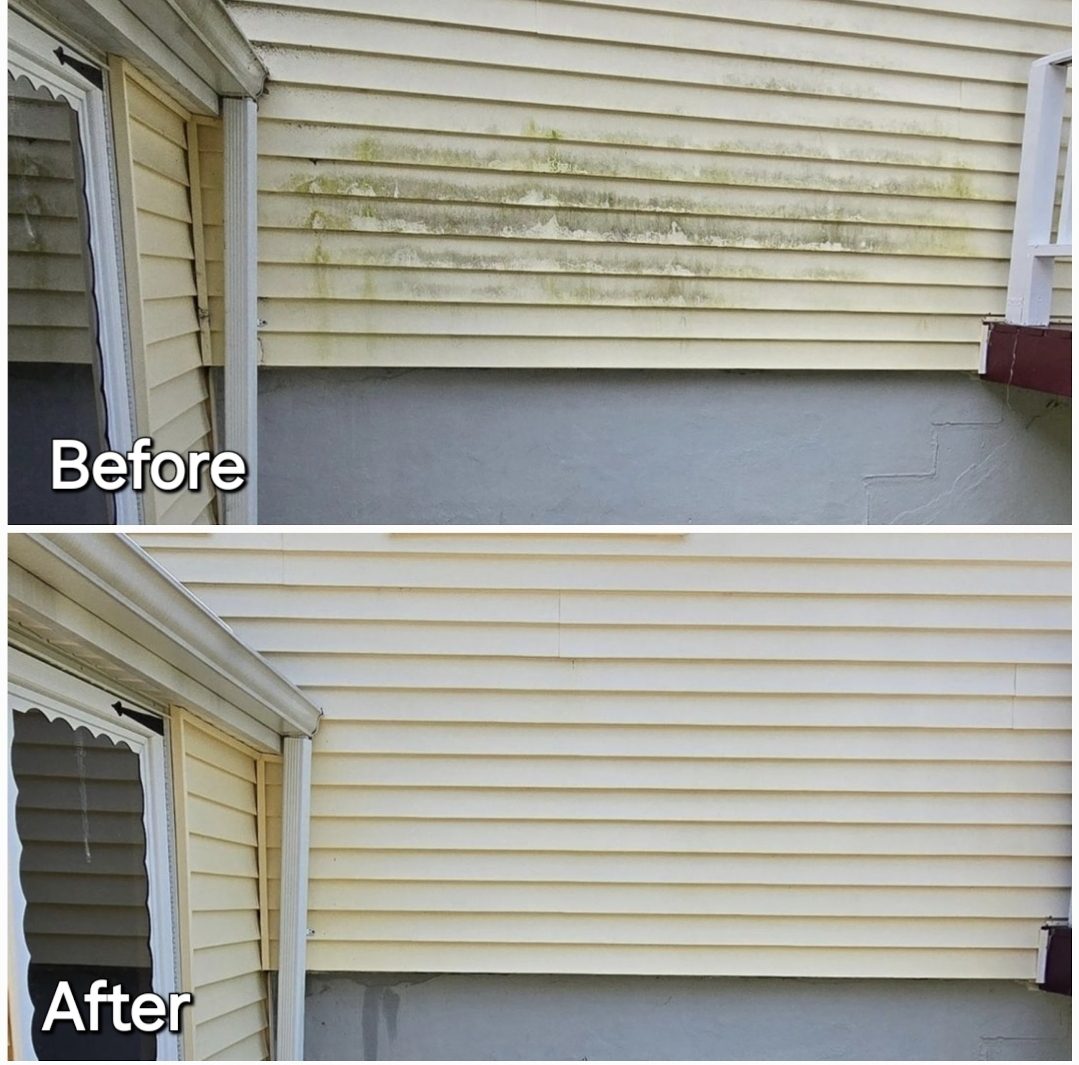 House Wash — Before & After